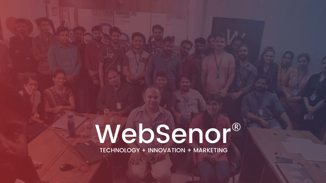 WebSenor – global web development and IT services company